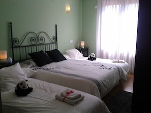Desk, laptop workspace, blackout curtains, soundproofing - Mendi Alai (Valle de Carranza)