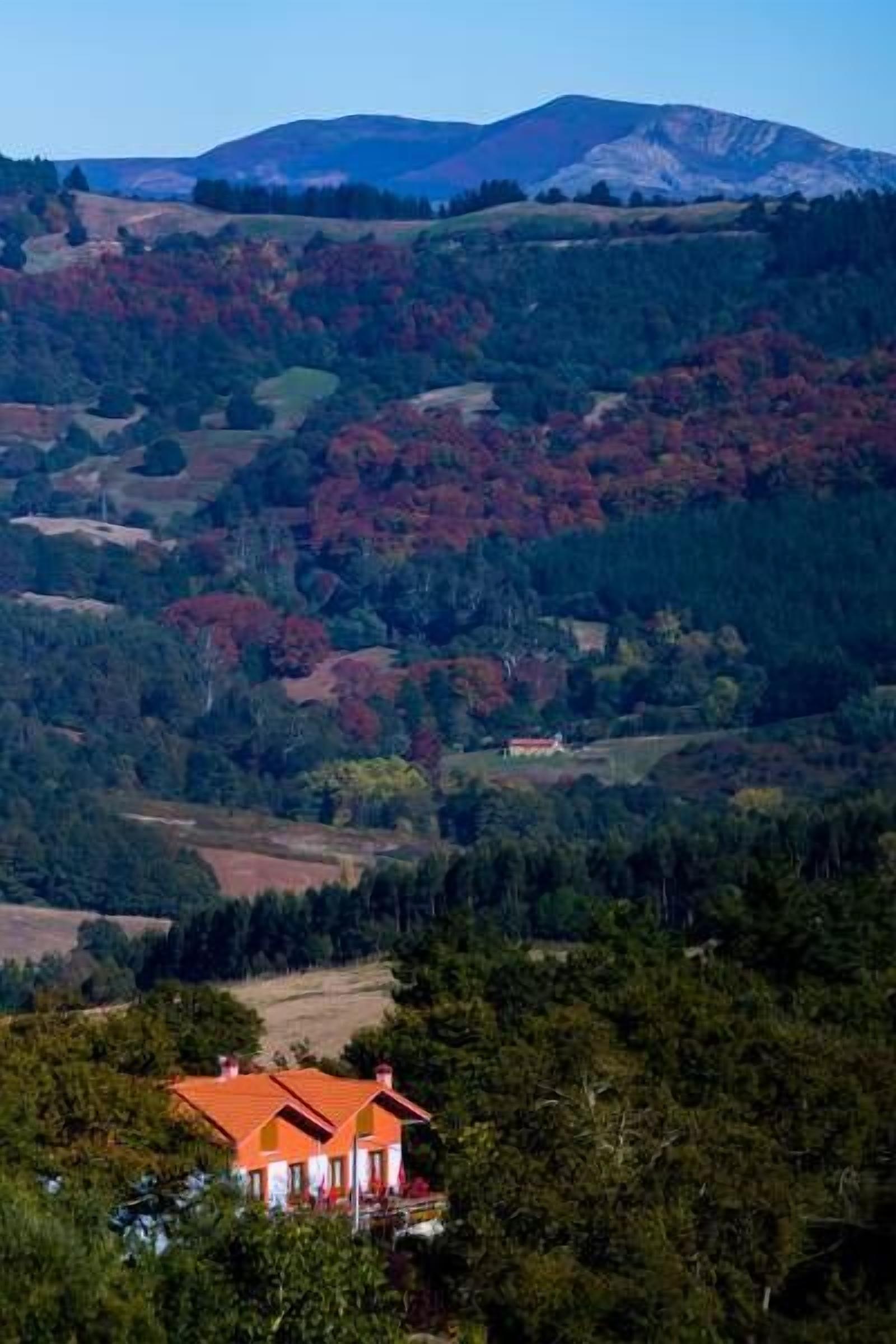 Una casa con techo rojo ubicada en un valle boscoso, con colinas al fondo.