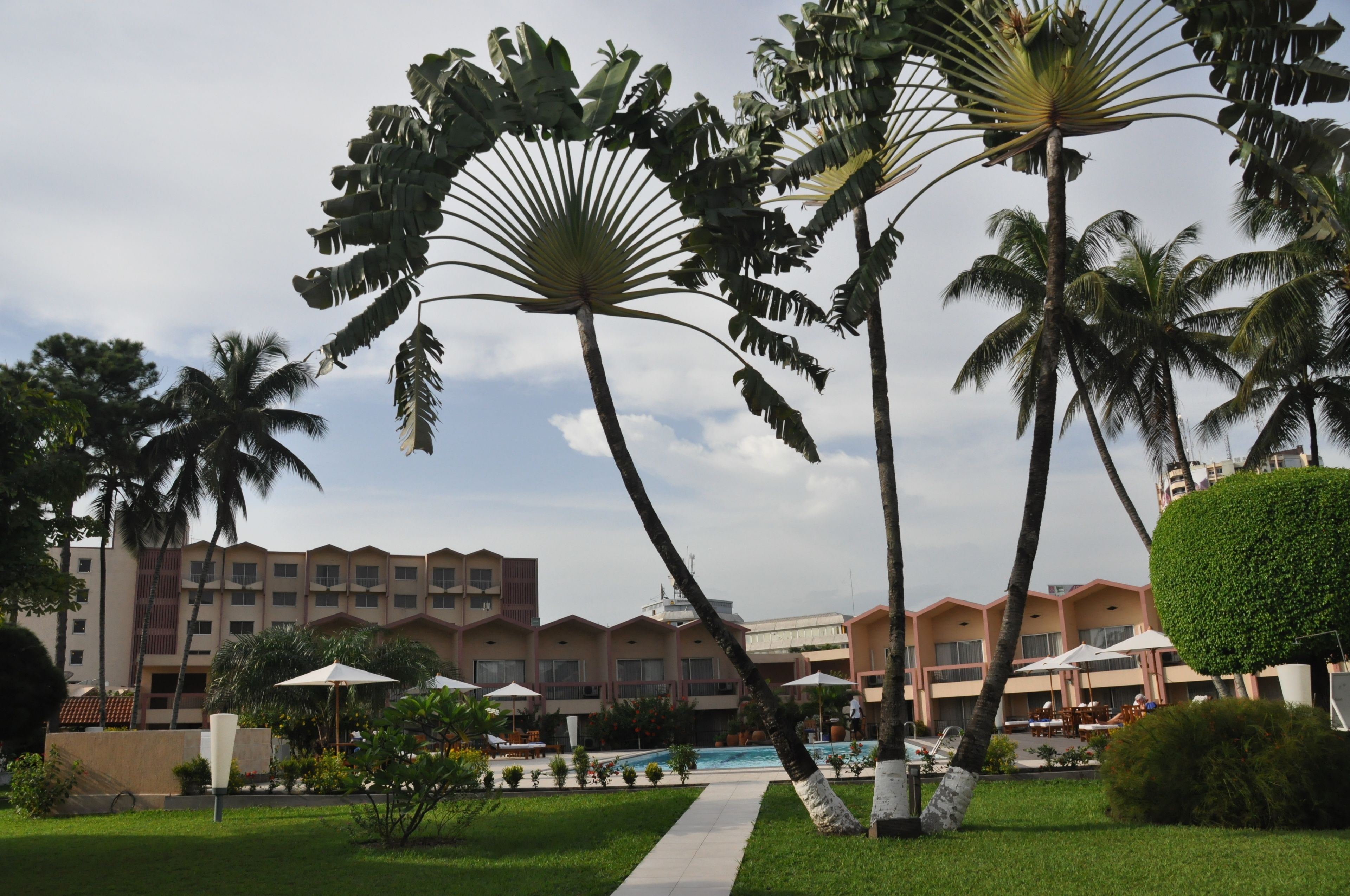 Photo - Hôtel Elaïs