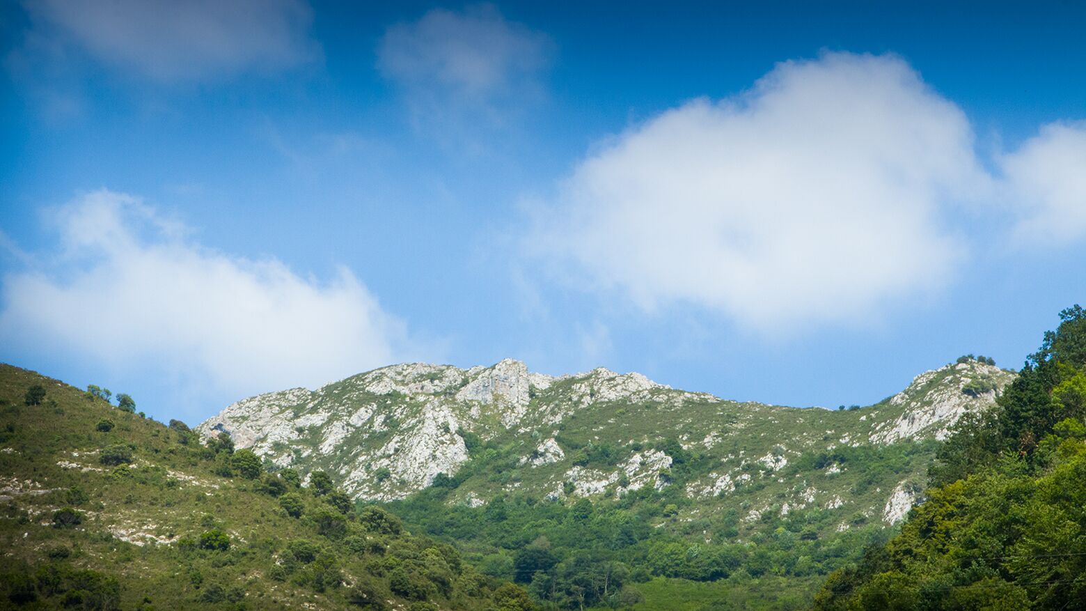 A mountainous landscape with rocky terrain and dense green vegetation.