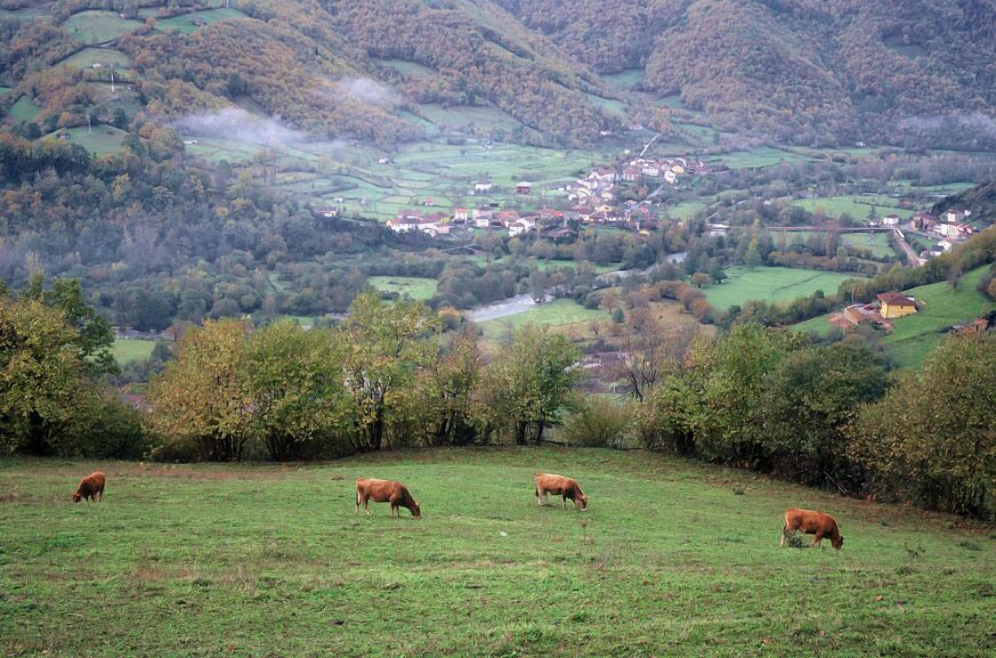 Un paisaje rural con colinas onduladas, un pequeño pueblo a lo lejos y un campo de pasto con vacas pastando.