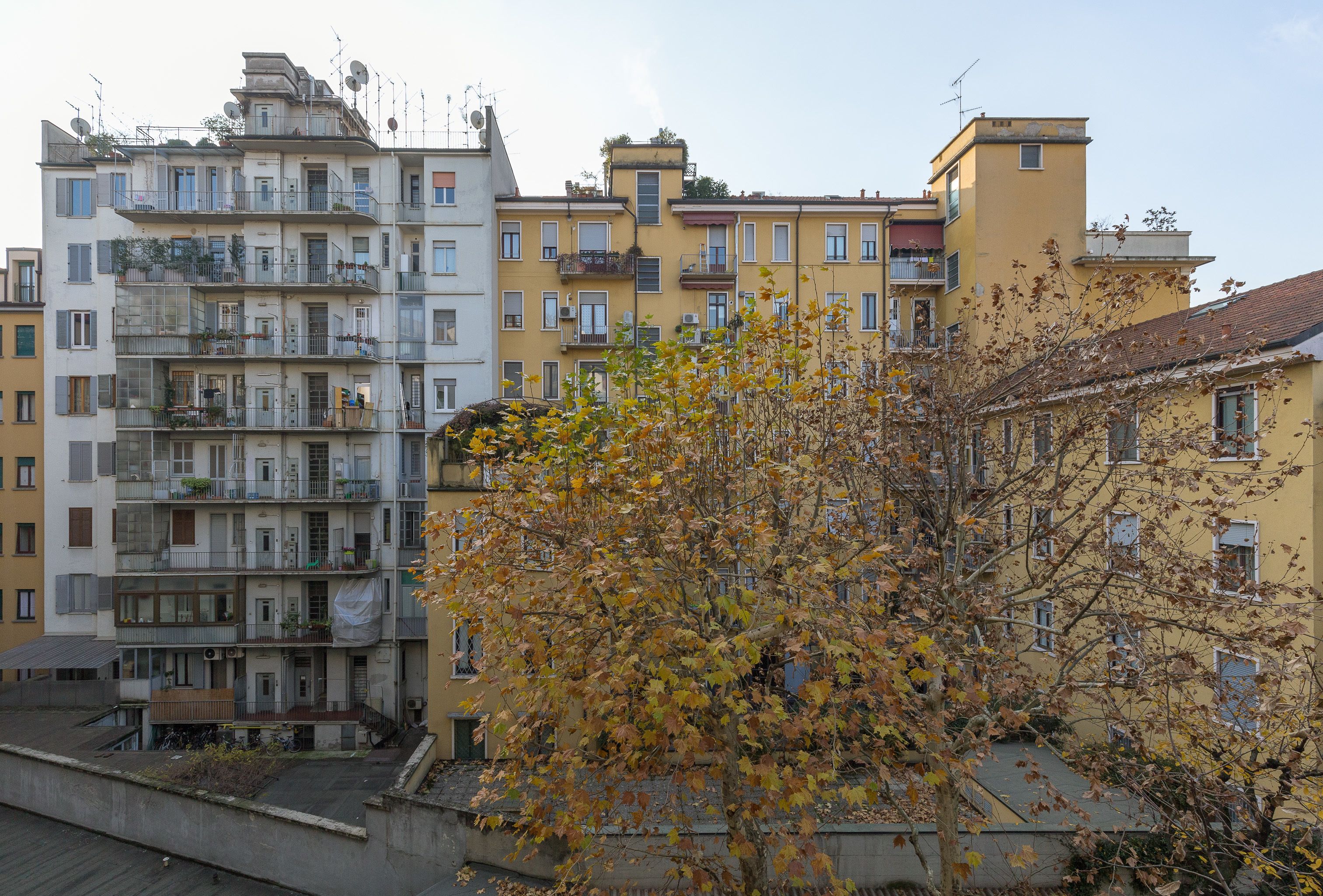 Un immeuble résidentiel à plusieurs étages, doté de balcons, avec un arbre au premier plan.