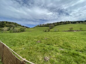 Un champ herbeux avec une clôture en bois, des arbres et un paysage vallonné en arrière-plan.