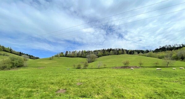 A green field with sheep and trees under a cloudy sky.