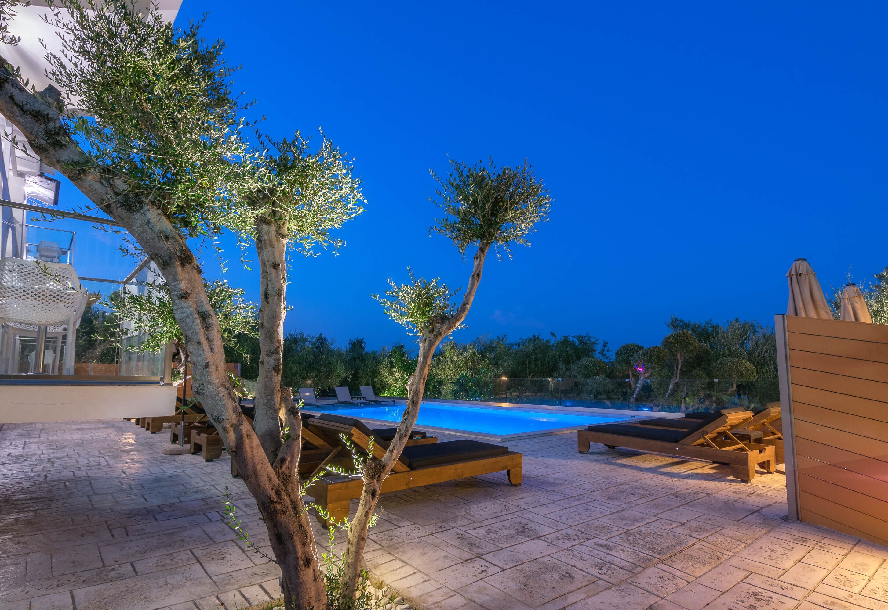 A poolside area with lounge chairs, a swimming pool, and olive trees.