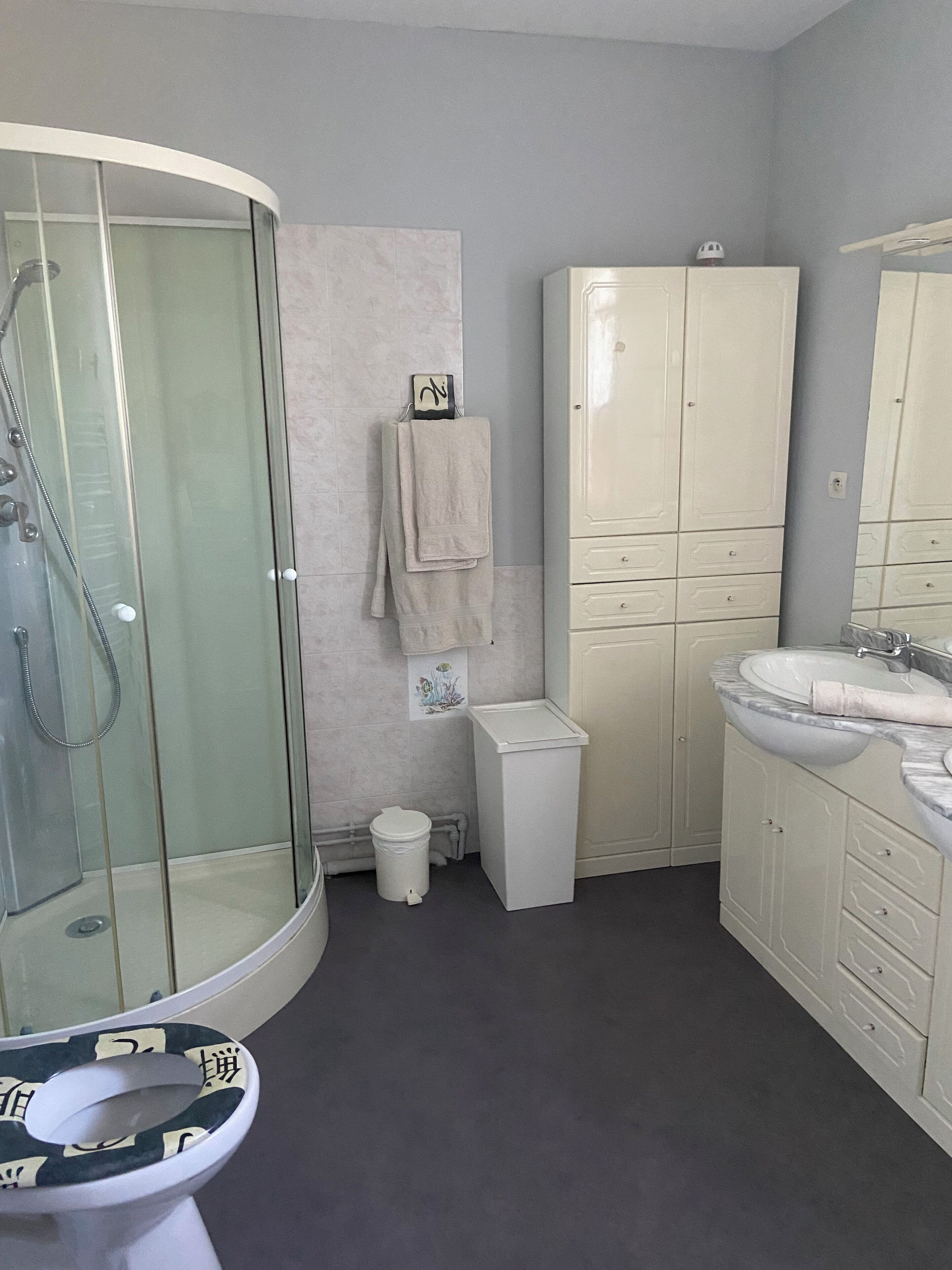 A bathroom with a glass-enclosed shower, a toilet with a patterned seat, a sink with a marble countertop, and a cabinet with drawers.