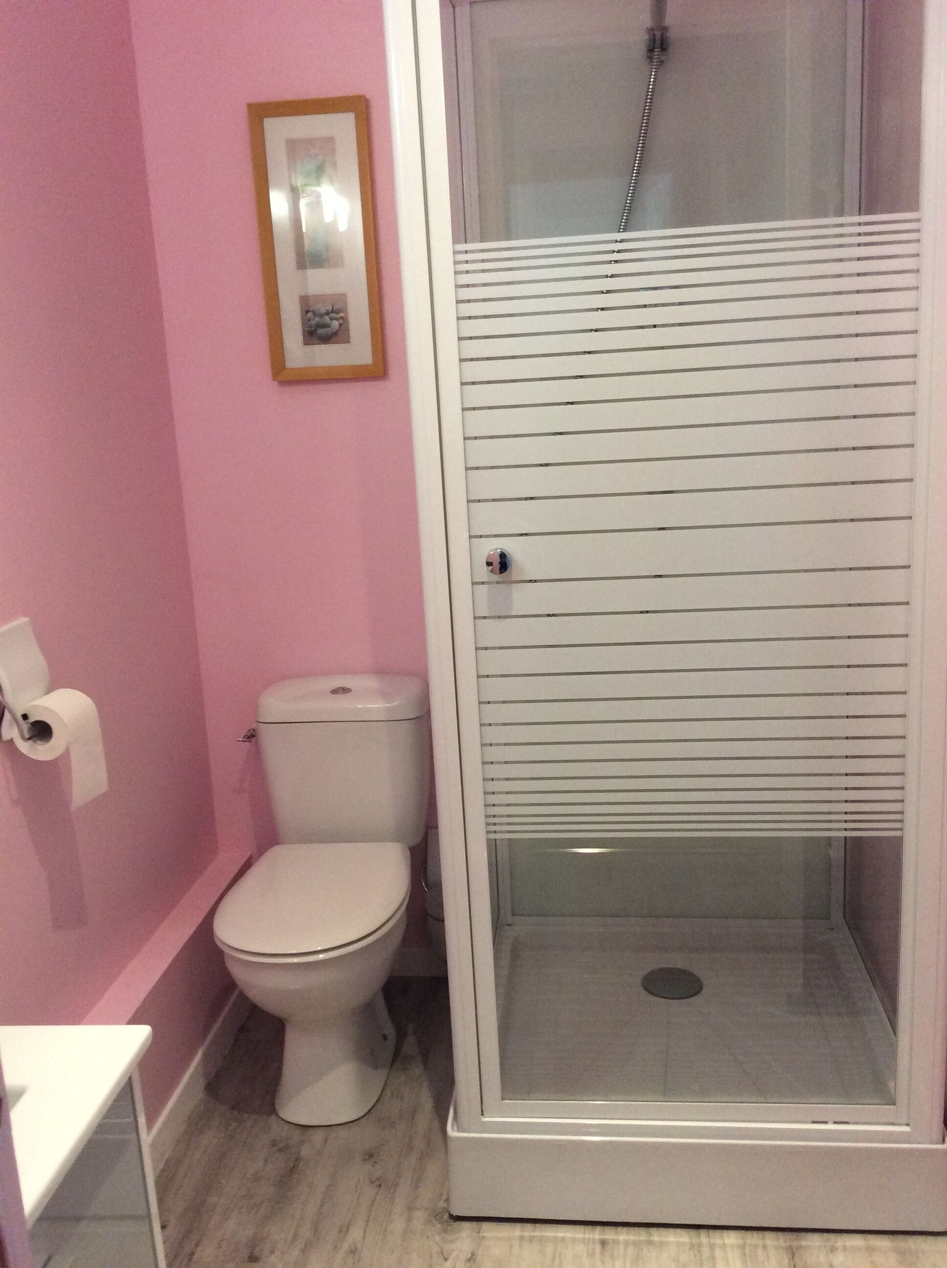 A bathroom with a toilet, a shower enclosure, and a framed picture on the wall.