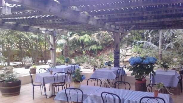 Un patio al aire libre con mesas y sillas, rodeado de macetas con plantas y árboles.