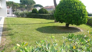 A well-maintained lawn with a neatly trimmed bush and a tree in the center. - Residence Zenith (Caorle)