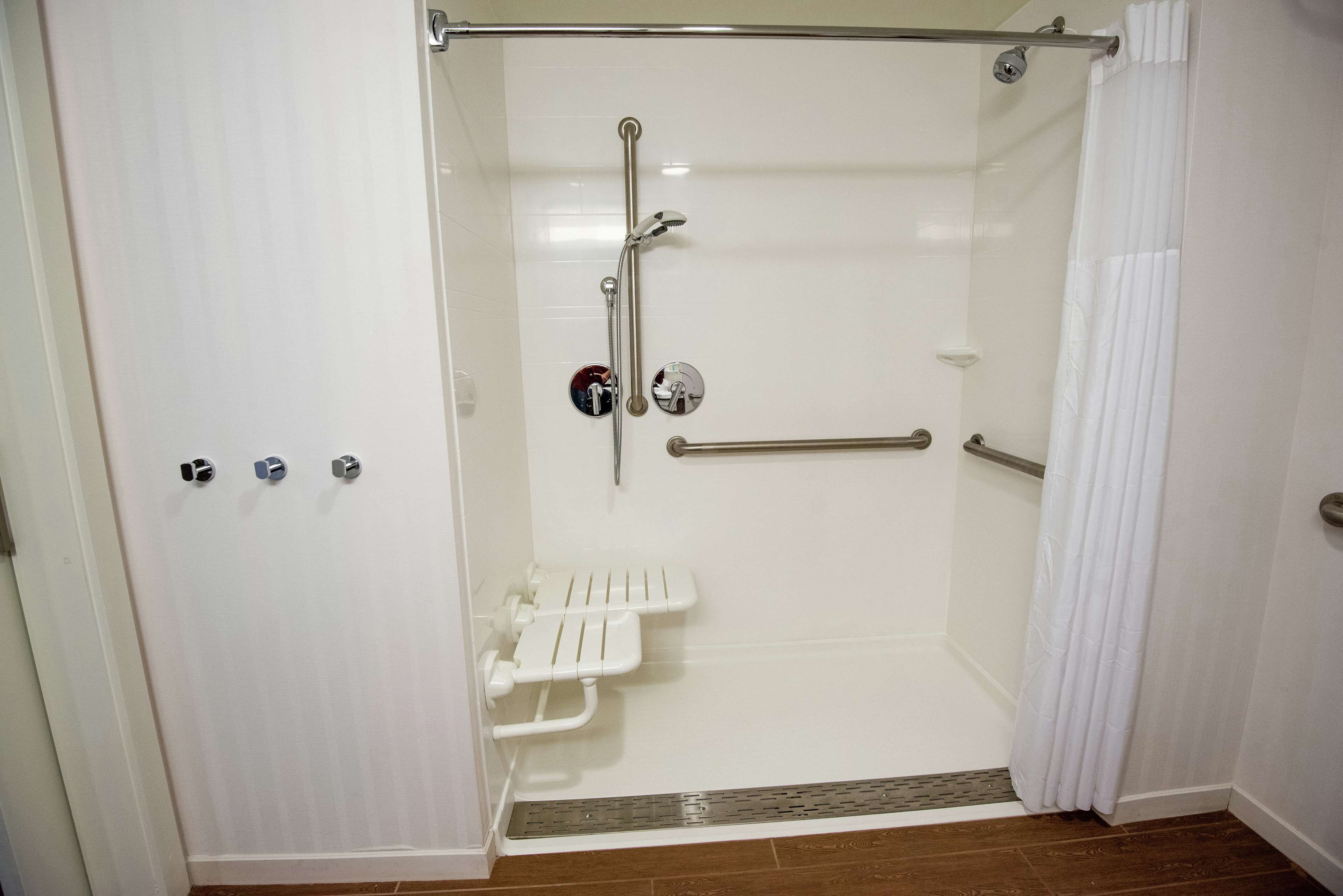 room, 1 king bed with sofa bed, accessible, non smoking (mobility & hearing, roll-in shower) | bathroom shower