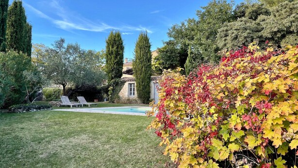 A backyard with a swimming pool, lounge chairs, and various trees and shrubs.