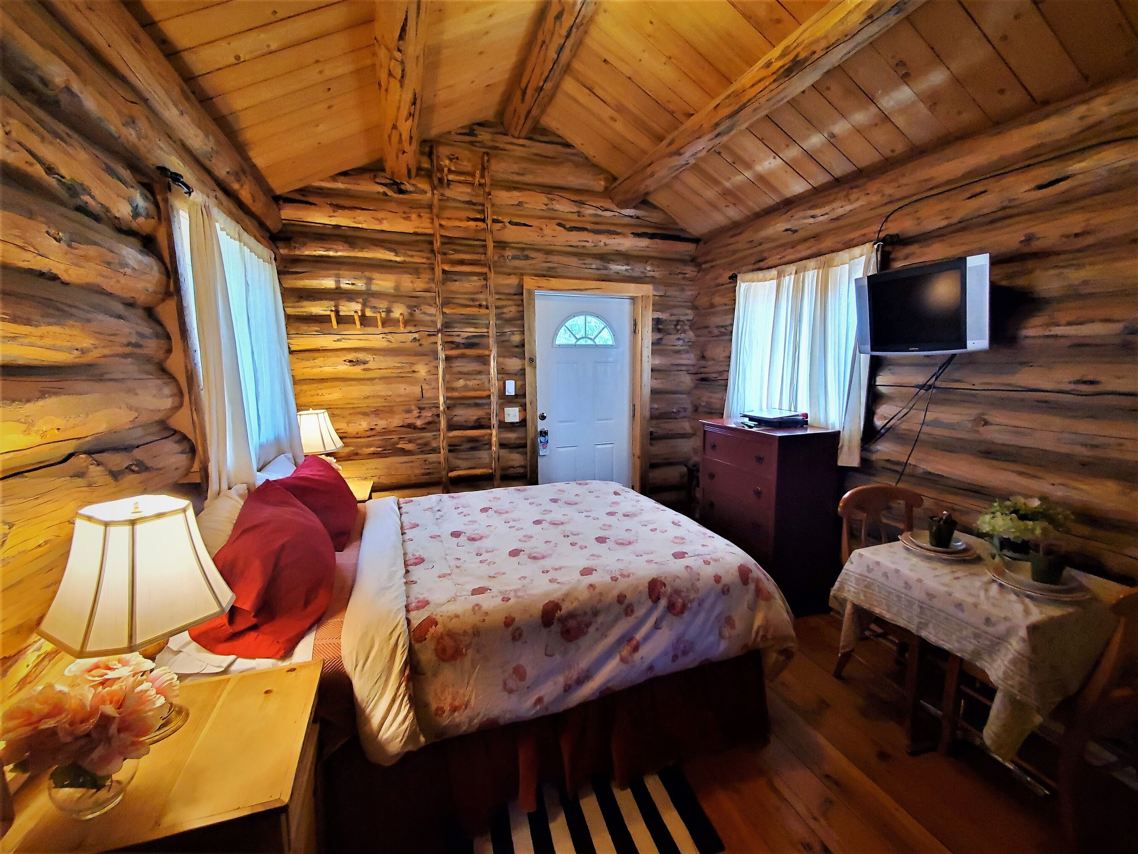 Ein gemütliches Blockhauszimmer mit einem Bett, einem Schreibtisch, einer Kommode, einem Fernseher und einem kleinen Tisch mit einer Pflanze.