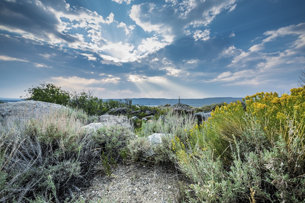 Log Cabin Motel by null
