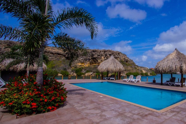 Outdoor pool, sun loungers