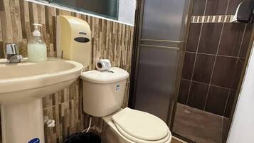 Regadera, toallas, jabón, shampoo