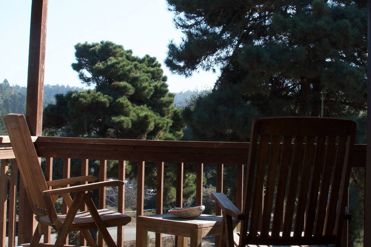 A wooden deck with two chairs and a table, overlooking a forested area.