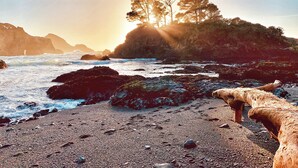 A rocky beach with waves, trees, and a sunset. - Inn at Buckhorn Cove (Little River)