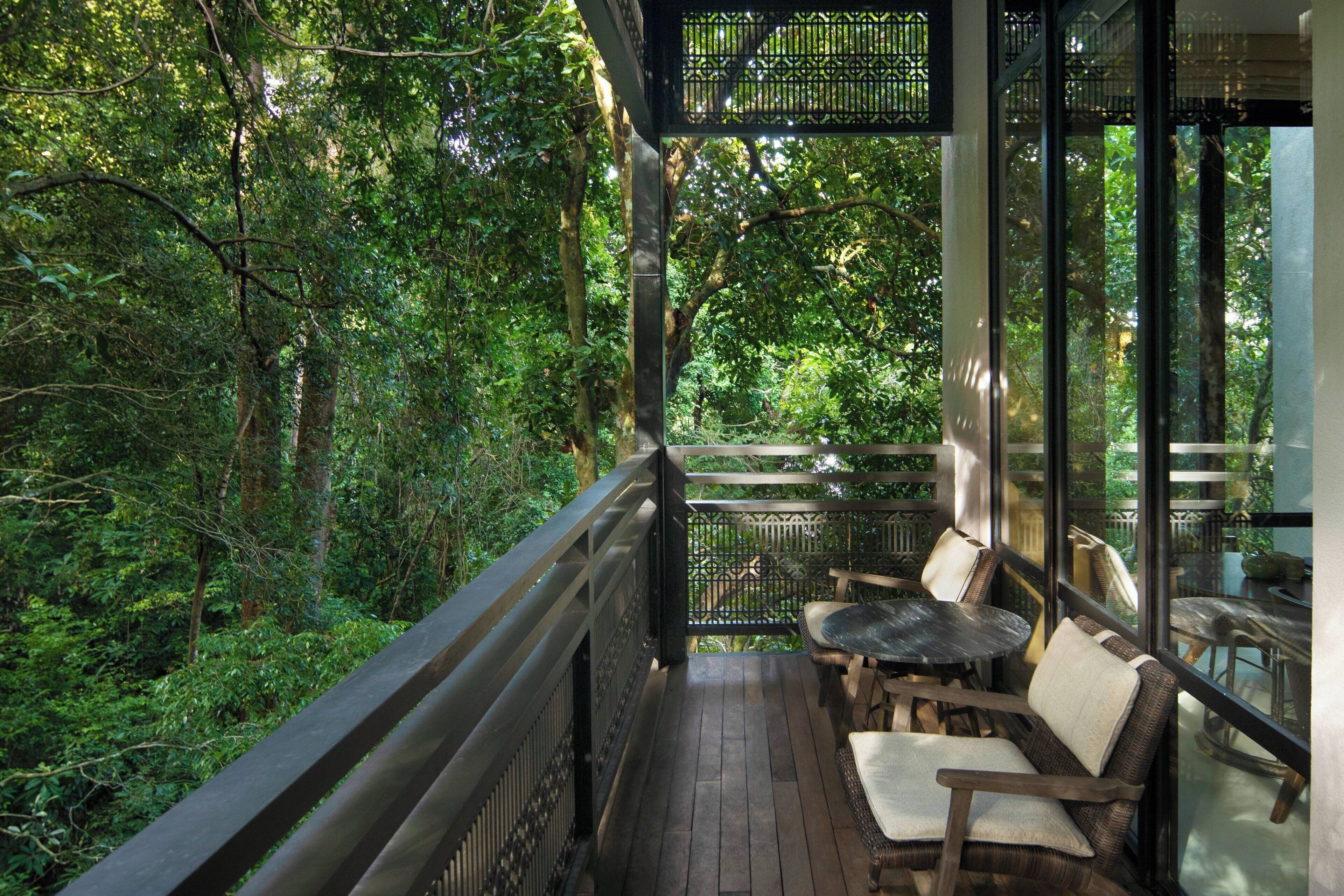 Terraza de madera con mobiliario de mimbre y barandillas de vidrio con vistas a un bosque frondoso.