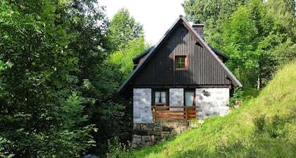 Historisches Ferienhaus im Schwarzwald