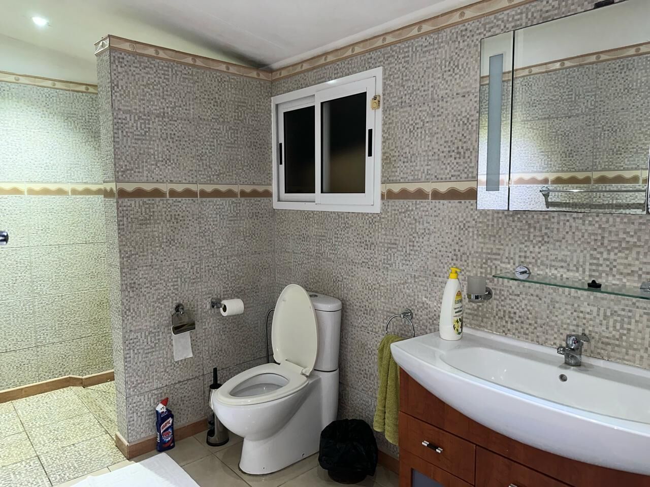 Un baño con inodoro, lavamanos, espejo y paredes con azulejos.