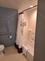 Studio, 1 King Bed with Sofa bed (Mobility Accessible, Tub) | Bathroom | Hair dryer, towels