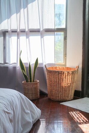 Interior - Squirrel Hostel (Chiang Mai)