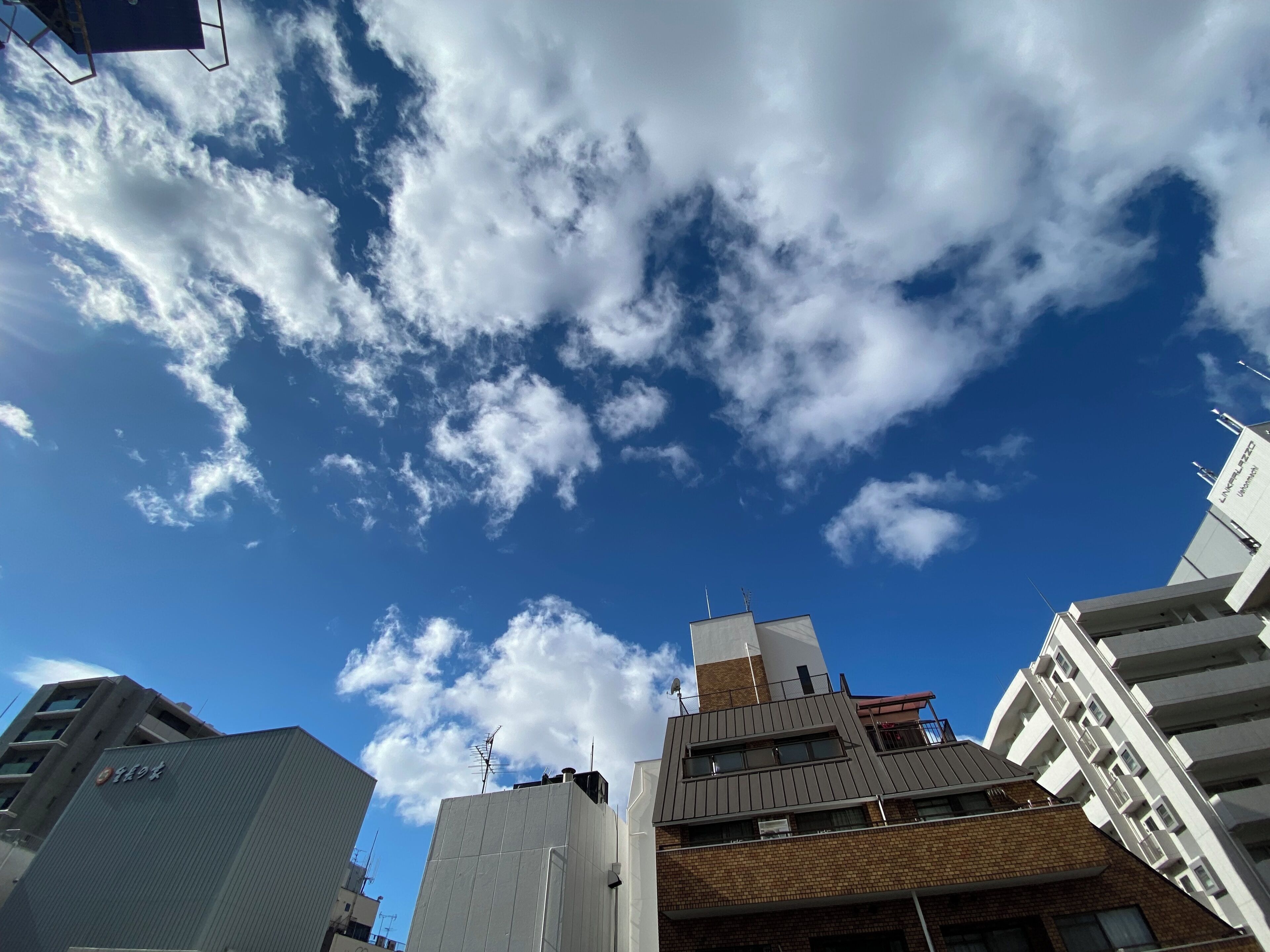 Photo - Hotel CoCoDe Plus