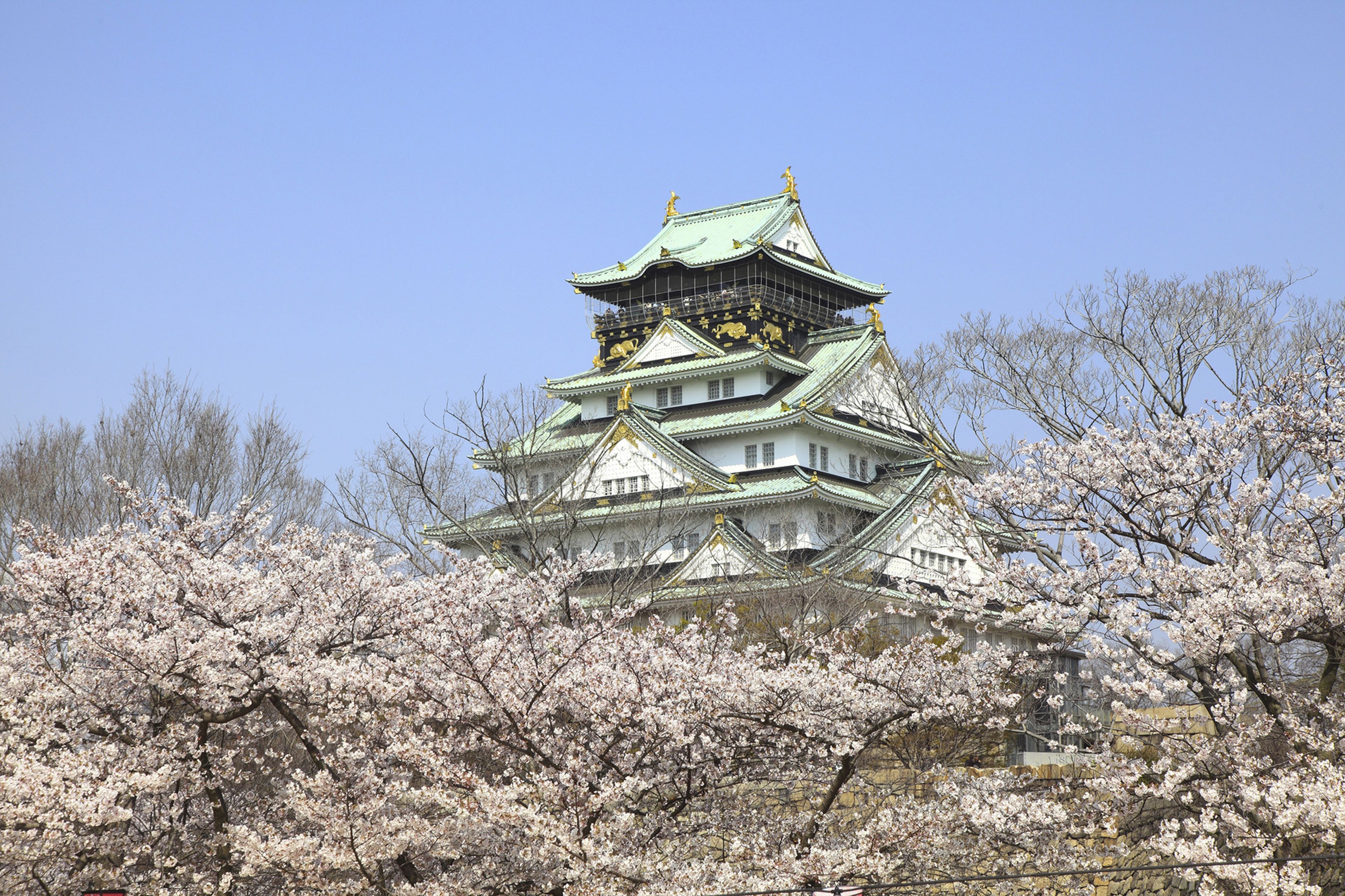 Foto - Hotel CoCoDe Plus