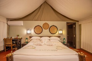 Minibar, in-room safe, individually decorated, individually furnished - Jagatpur Lodge (Jagatpur)