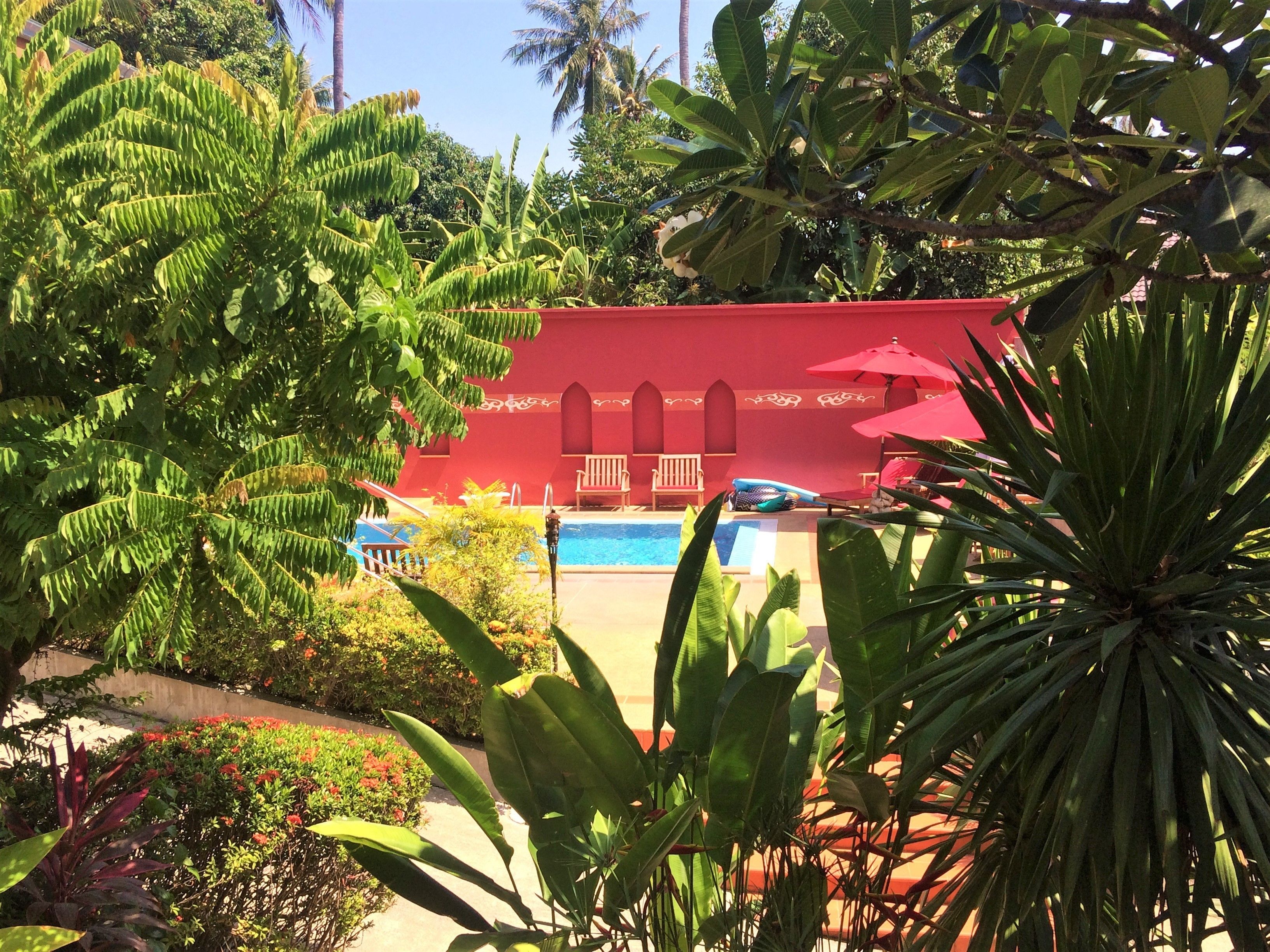 A pool area with lounge chairs and umbrellas, surrounded by lush greenery and palm trees.