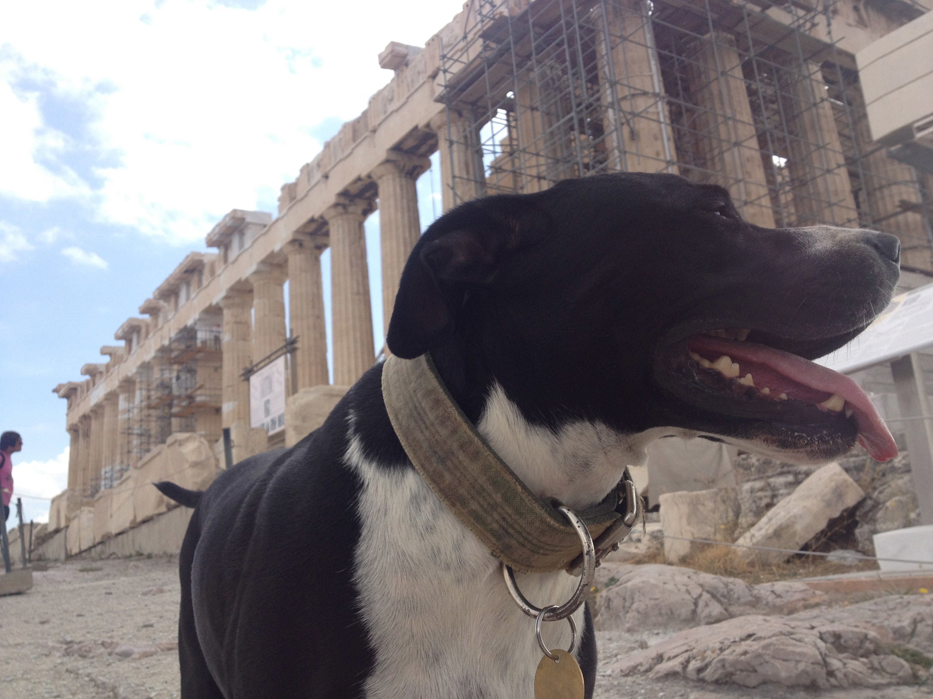 Foto - Athens Backpackers