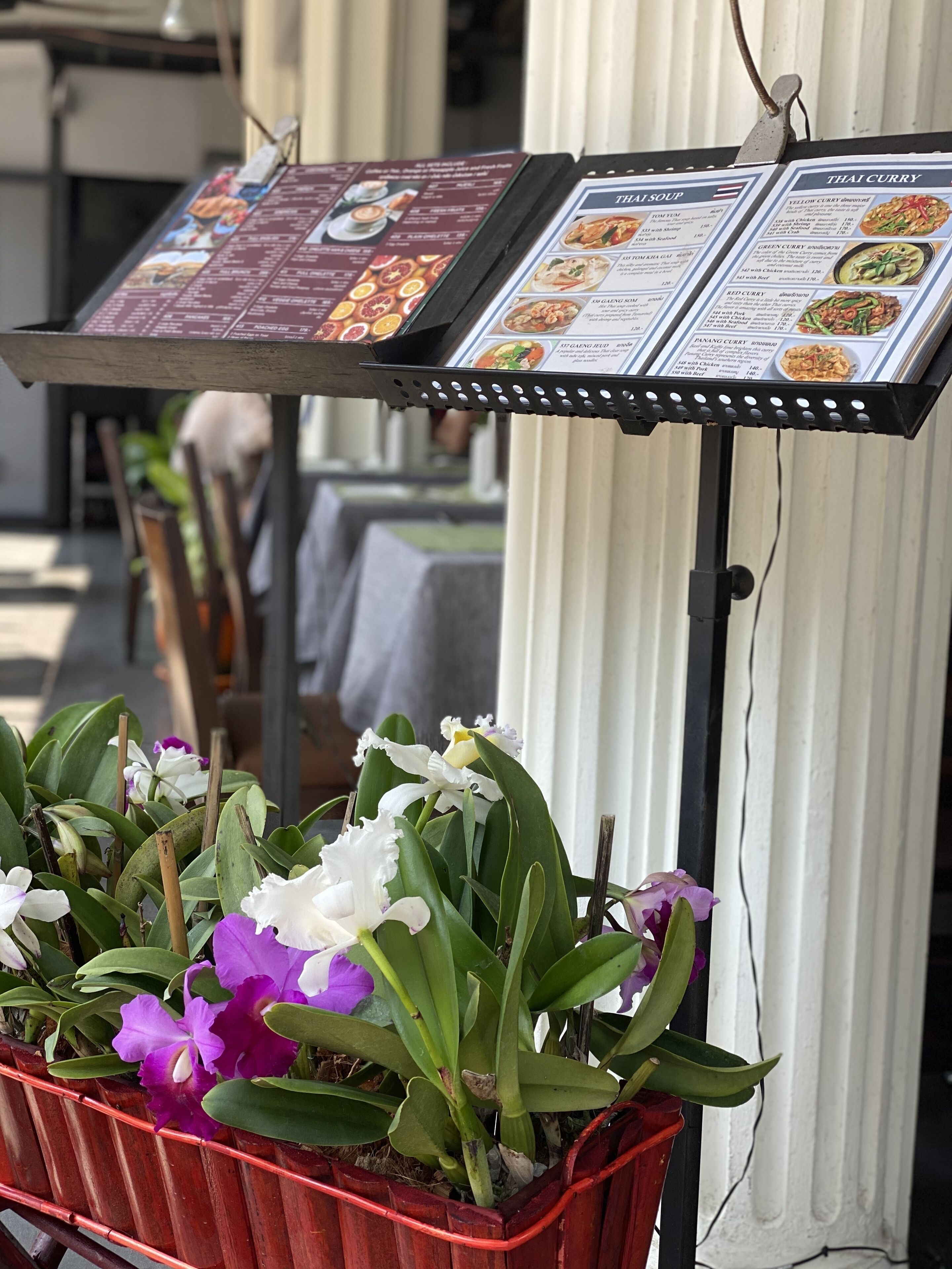 A menu board with Thai dishes, a potted plant with flowers, and a wooden fence.