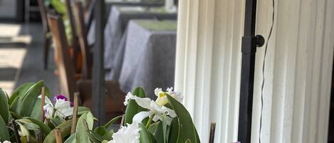 Un cartel con el menú de platos tailandeses, una planta en maceta con flores y una valla de madera.