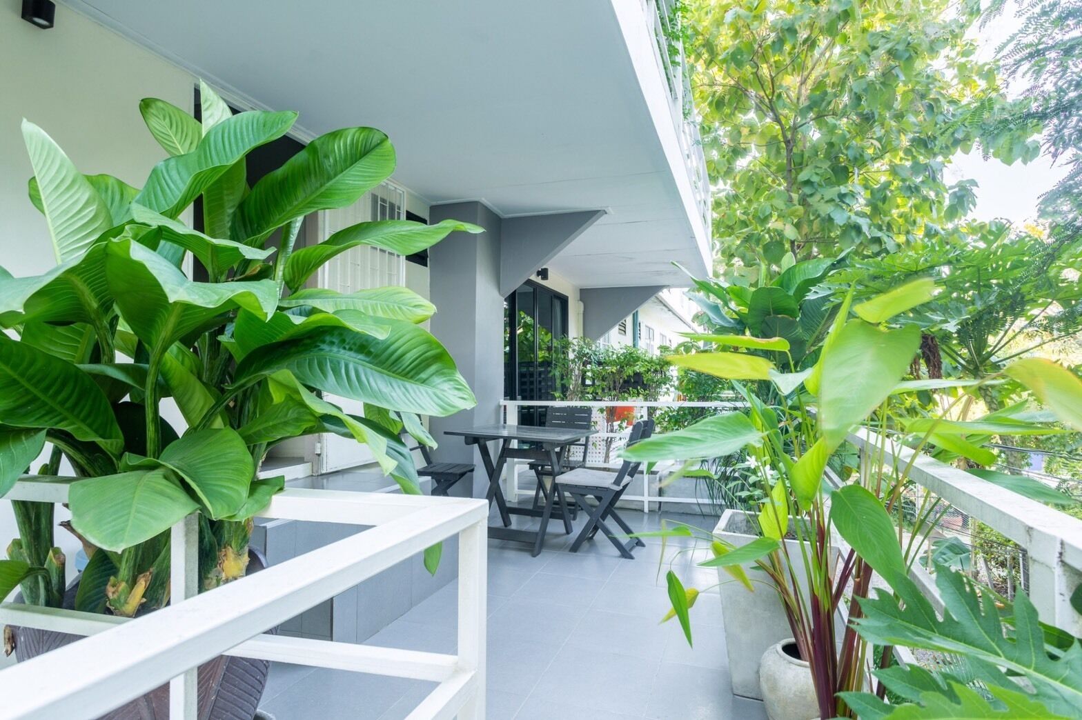 A balcony with a table and chairs, surrounded by large green plants.