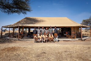 Front of property - Mawe Luxury Tented Camp (Serengeti)