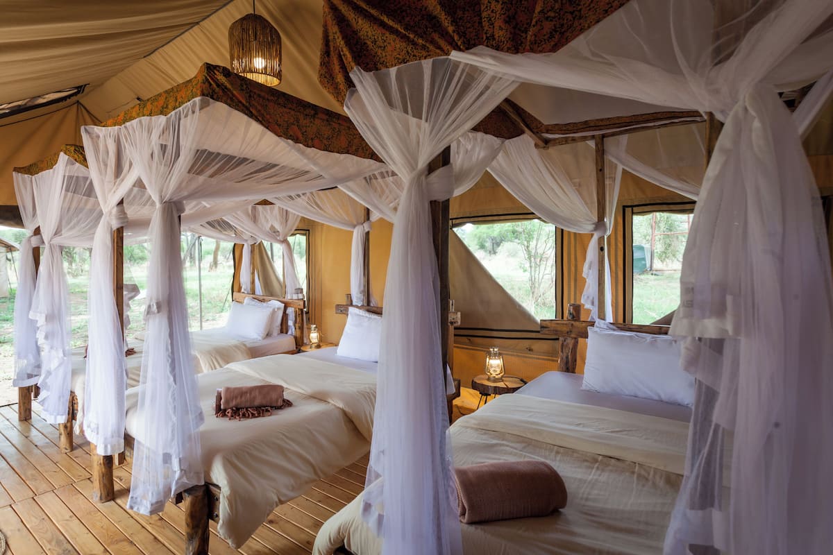 A series of four beds with white linens and mosquito nets, wooden floors, and a view of greenery outside.