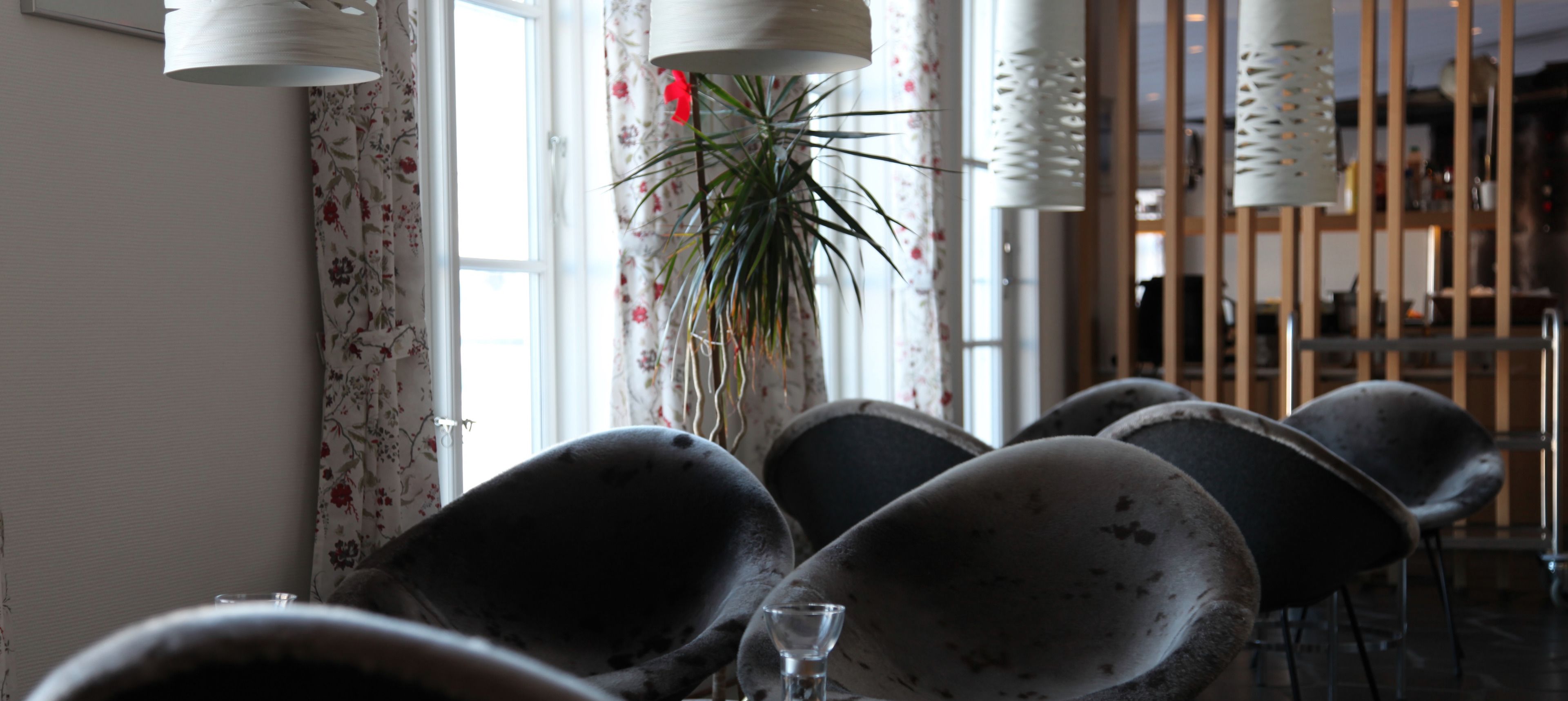 Una fila de sillas modernas de color oscuro con un vaso sobre la mesa, una planta en maceta y una ventana con cortinas florales.