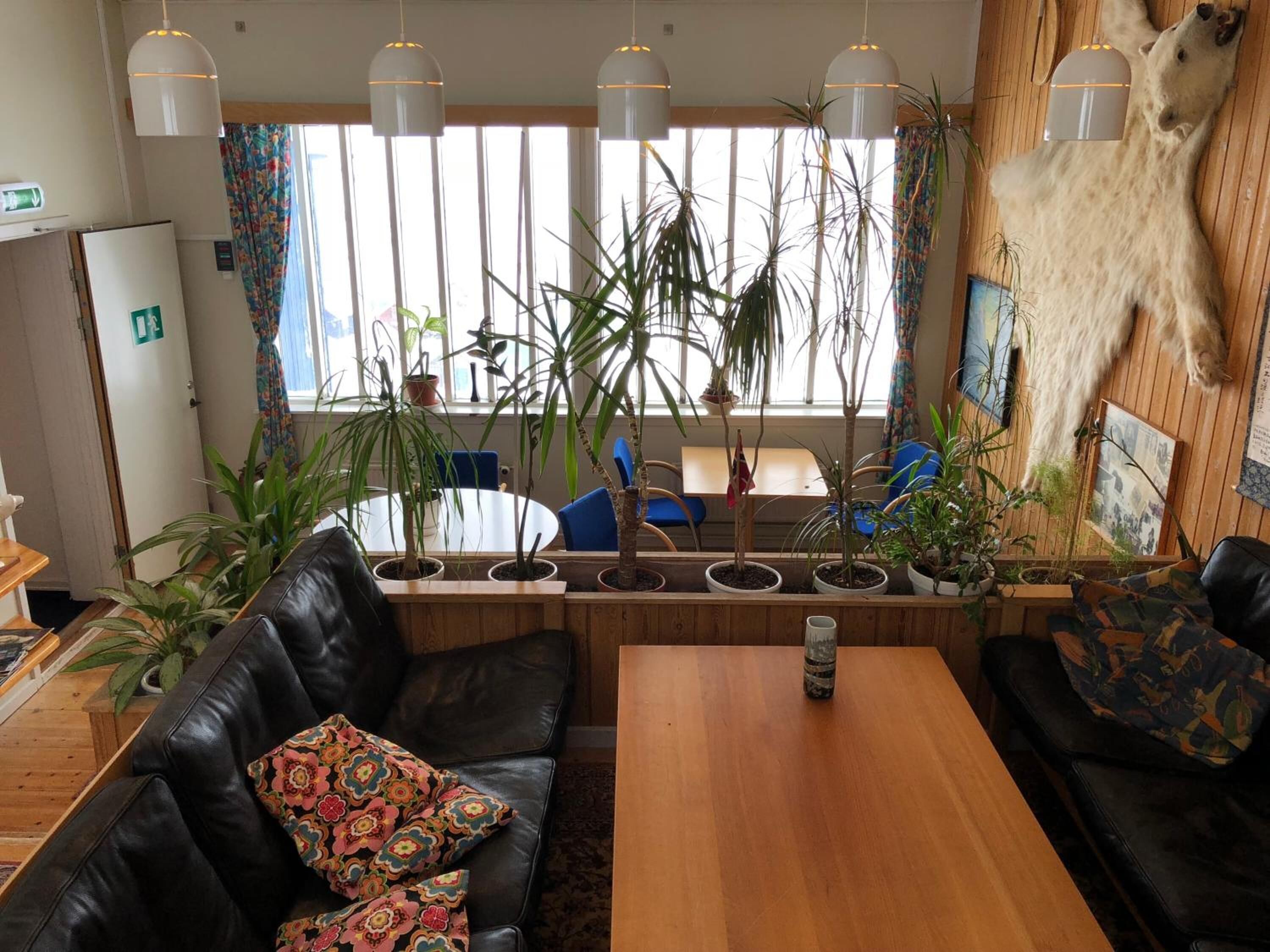 Une pièce chaleureuse avec un canapé en cuir, une table en bois et une variété de plantes en pot.