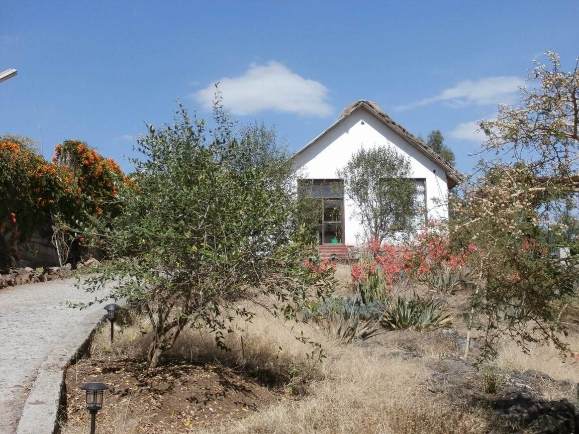 Una casa blanca con techo inclinado, rodeada de vegetación seca y árboles.