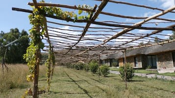 Jardim