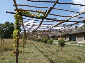 Vinhedo com estrutura de pérgola, um edifício de pedra e um campo gramado.