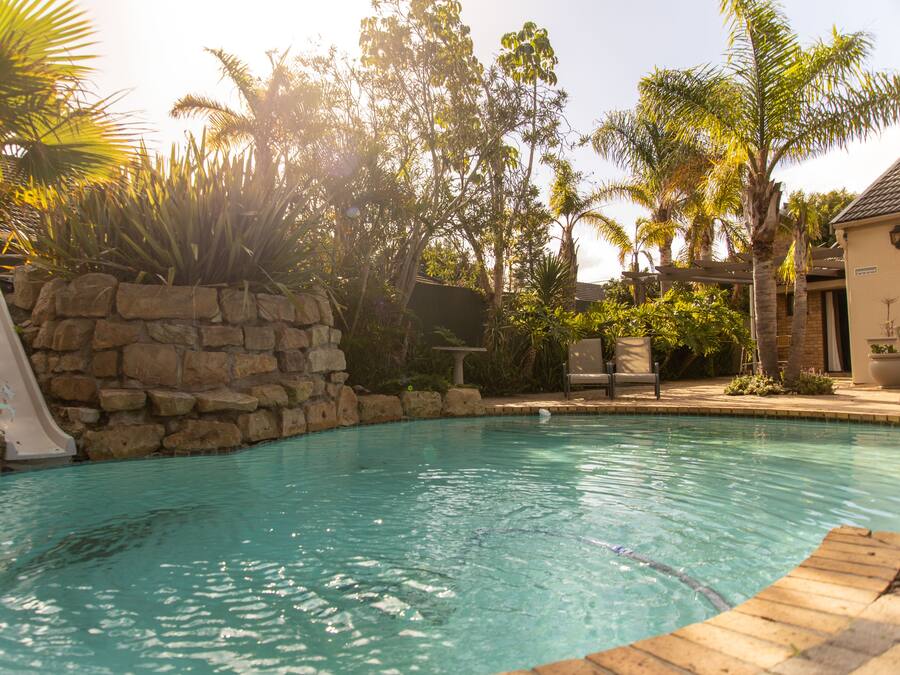 Outdoor pool, pool loungers