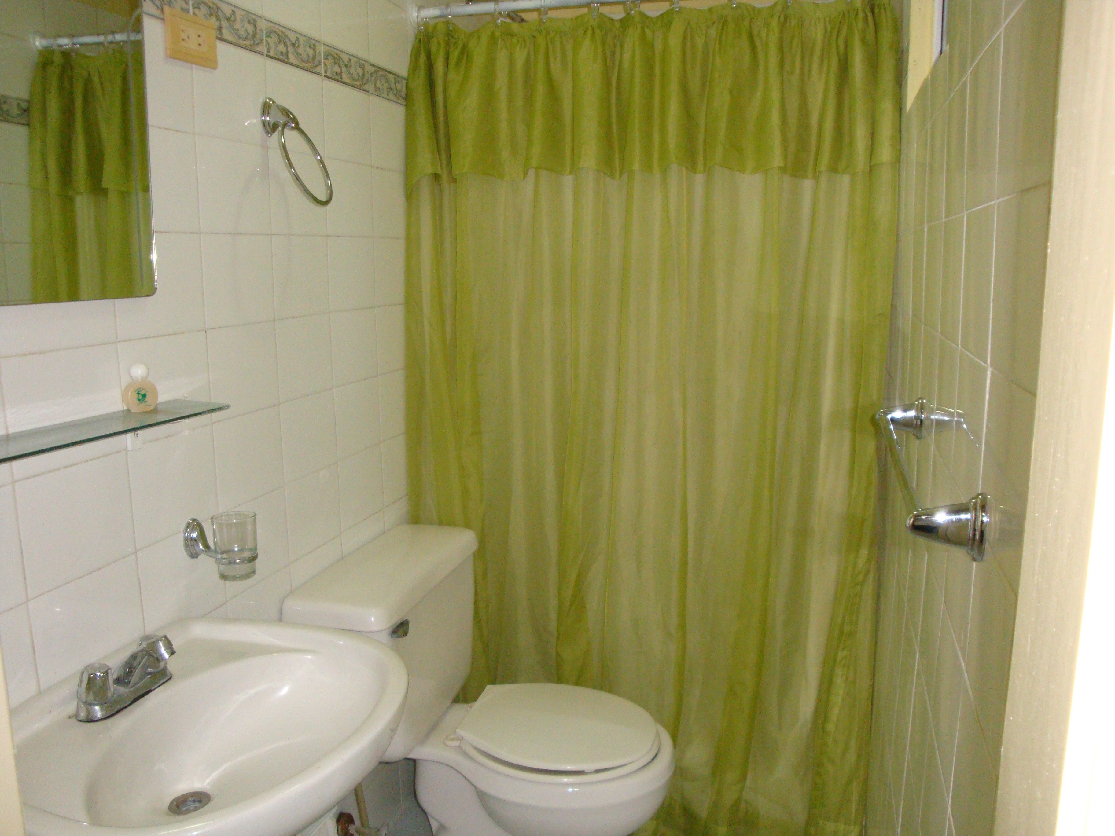 A bathroom with a toilet, sink, and shower curtain.