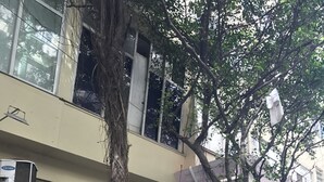 Un edificio con entrada protegida por un portón, una unidad de aire acondicionado visible y una planta en maceta al frente.
