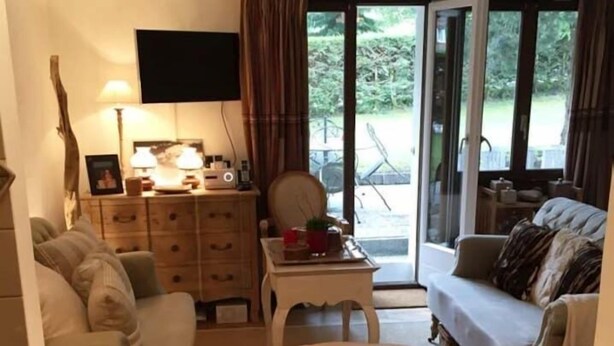 Studio, bếp nhỏ, khu vực vườn | Phòng khách