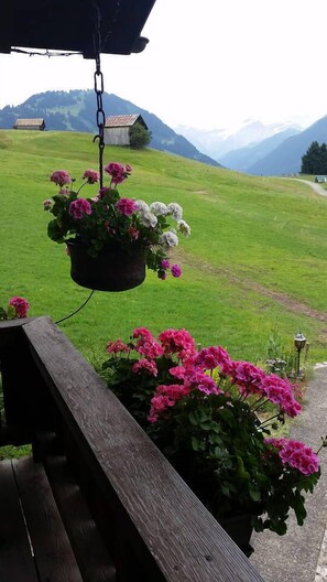 Balcony - Gstaad - Amazing Lake Chalet (Saanen)