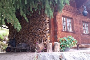 Exterior detail - Gstaad - Amazing Lake Chalet (Saanen)