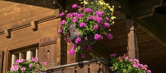 Gstaad - Amazing Lake Chalet