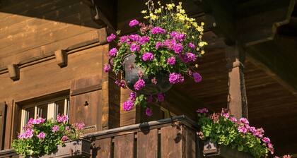 Gstaad - Amazing Lake Chalet
