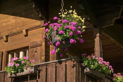 Gstaad - Amazing Lake Chalet